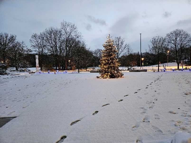 Das Bild zeigt eine winterliche Szene, in der ein geschmückter Weihnachtsbaum im Zentrum steht. Der Boden ist mit Schnee bedeckt, durch den Fußspuren führen. Um den Baum herum sind mehrere Lichterketten zu sehen, die den Schnee sanft beleuchten. Die Atmosphäre vermittelt ein Gefühl von Ruhe und Festlichkeit. Im Hintergrund sind Bäume und ein wolkenverhangener Himmel zu erkennen, die die winterliche Stimmung verstärken.
